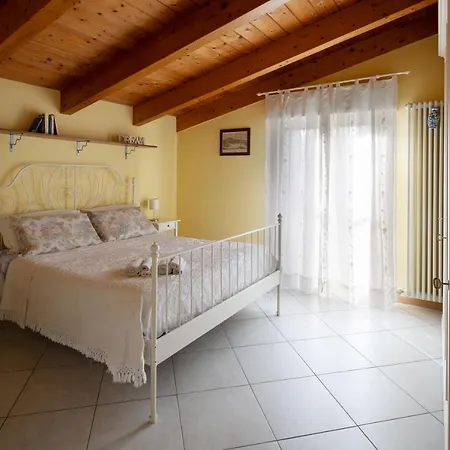 Il Glicine A Pésaro